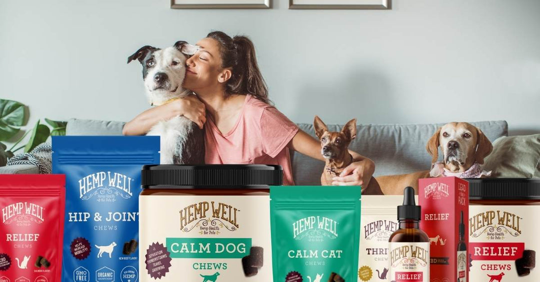 8 things you can do to help your dog live a longer and healthier life!