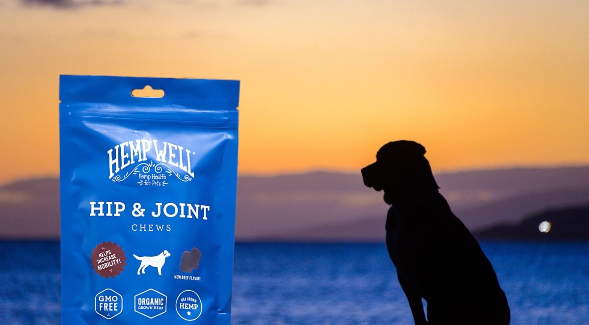 Discover the Benefits of Hemp Well Hip & Joint Soft Chews for Dogs - Hemp Well