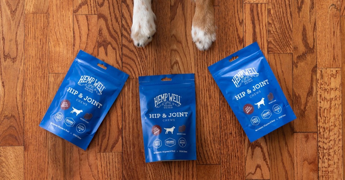Most Popular Dog Breeds of 2024 - Hemp Well
