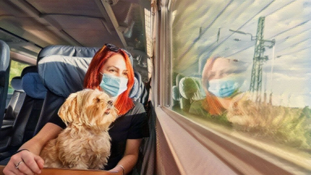 My dog ate my face mask, what do I do?