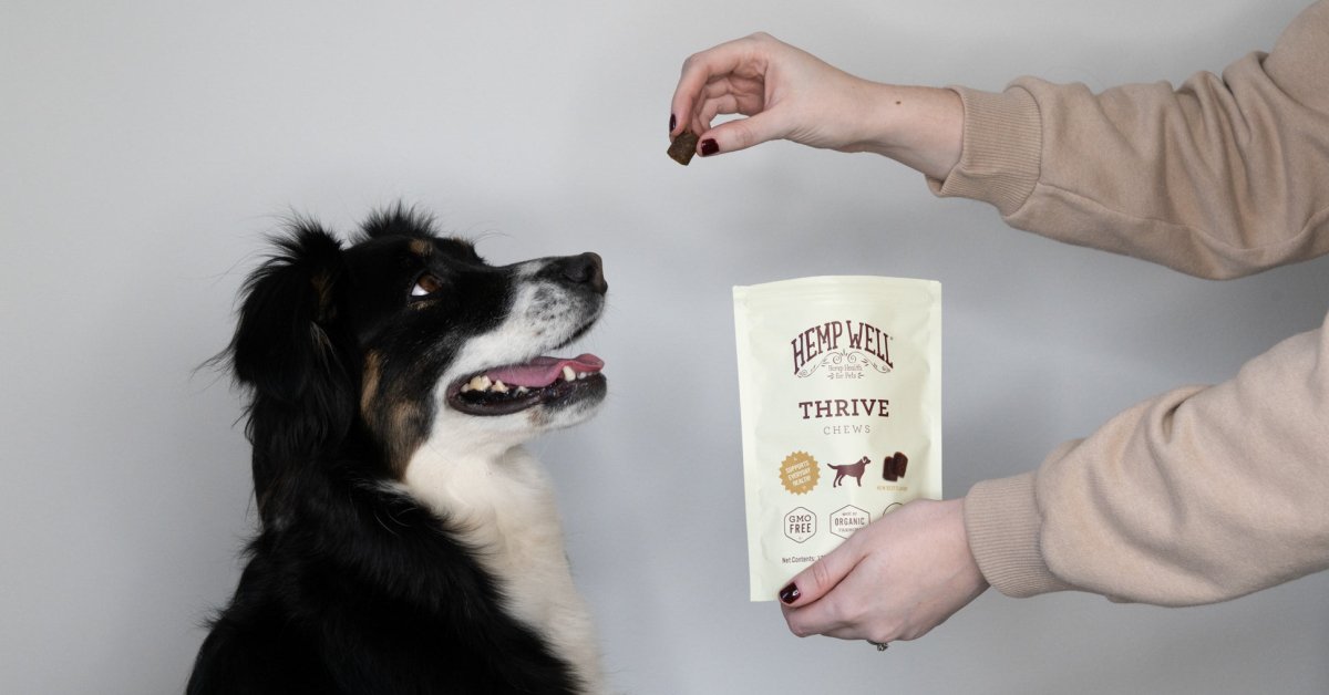 VIDEO: Hemp Well Thrive Dog Soft Chews: Your Dog’s Path to Everyday Health - Hemp Well