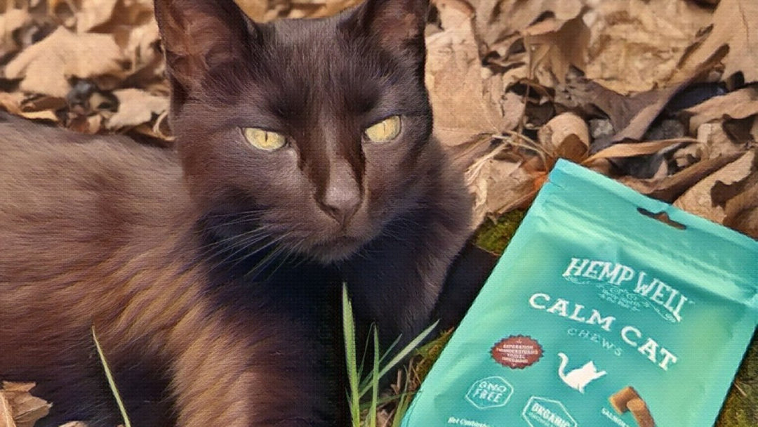 200 Times More Hemp In Our Pet Soft Chews