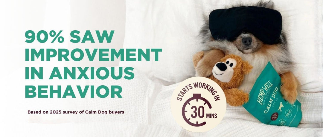 Do Calming Treats Work for Dogs? What Pet Parents Should Know