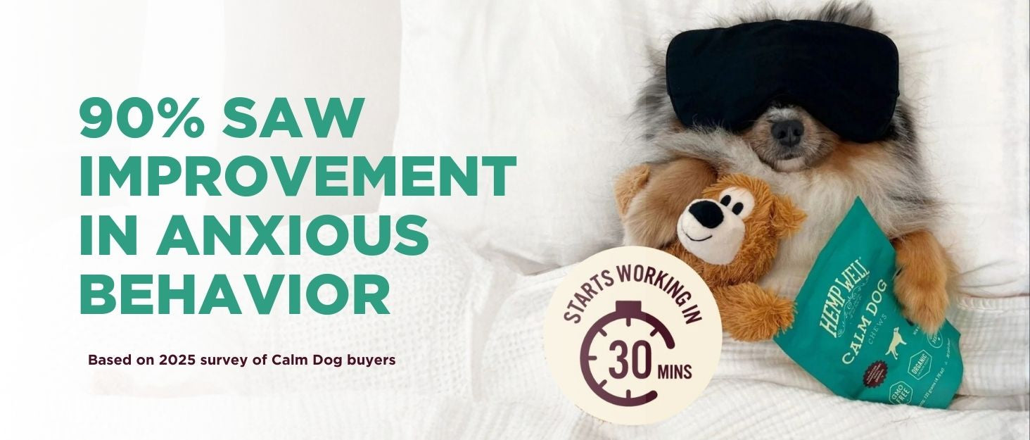 CBD for Dogs Anxiety: 27 Ways to Calm Your Dog Naturally