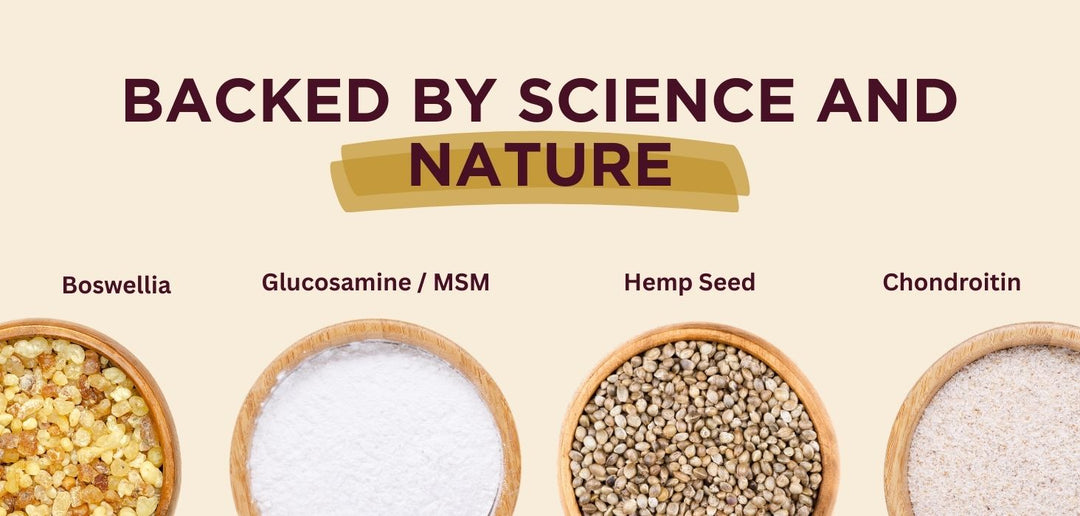 Cosequin for Senior Dogs vs Hemp Well: What’s Better for Joint Support?