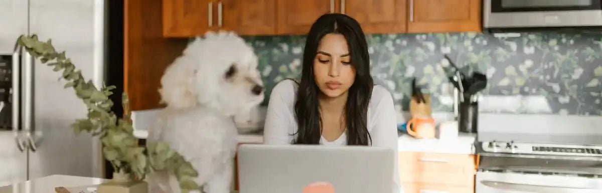 Aborting a Dog Pregnancy - Hemp Well
