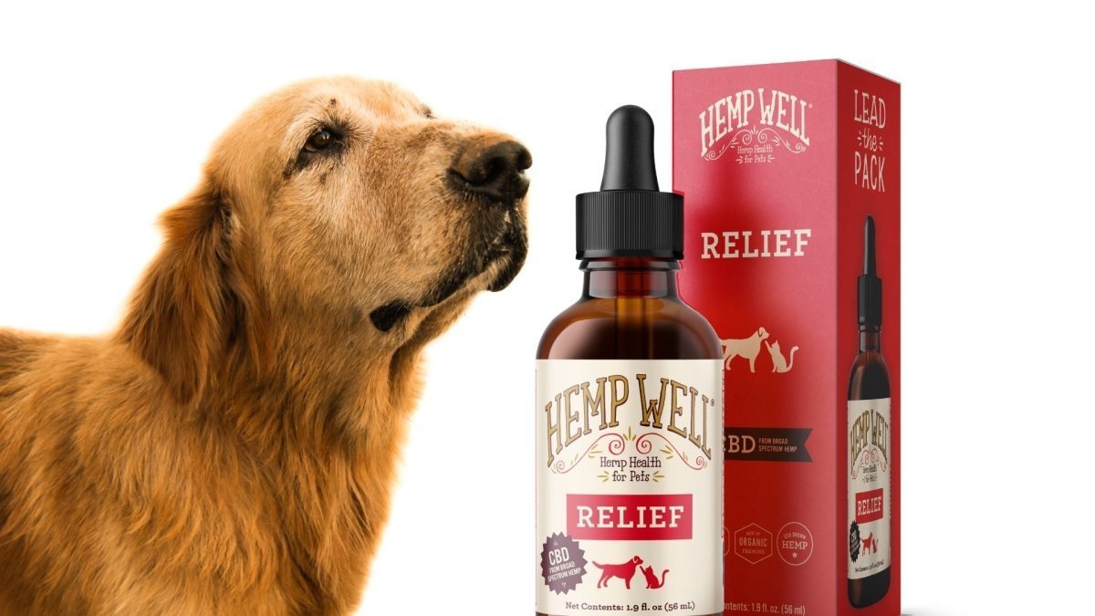 Arthritis in Dogs: What Does it Mean and How can I Help? - Hemp Well