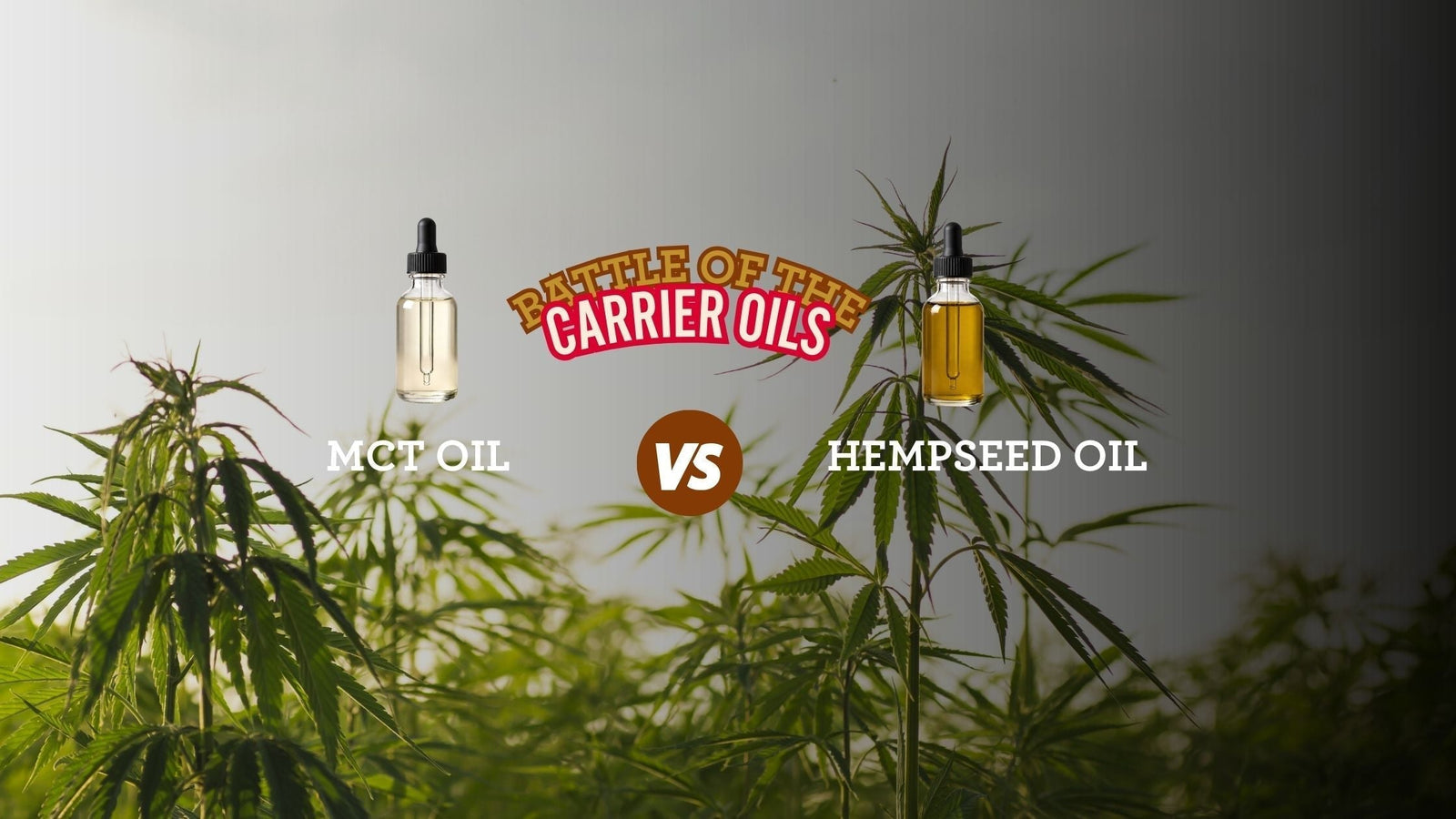 MCT oil versus Hempseed oil