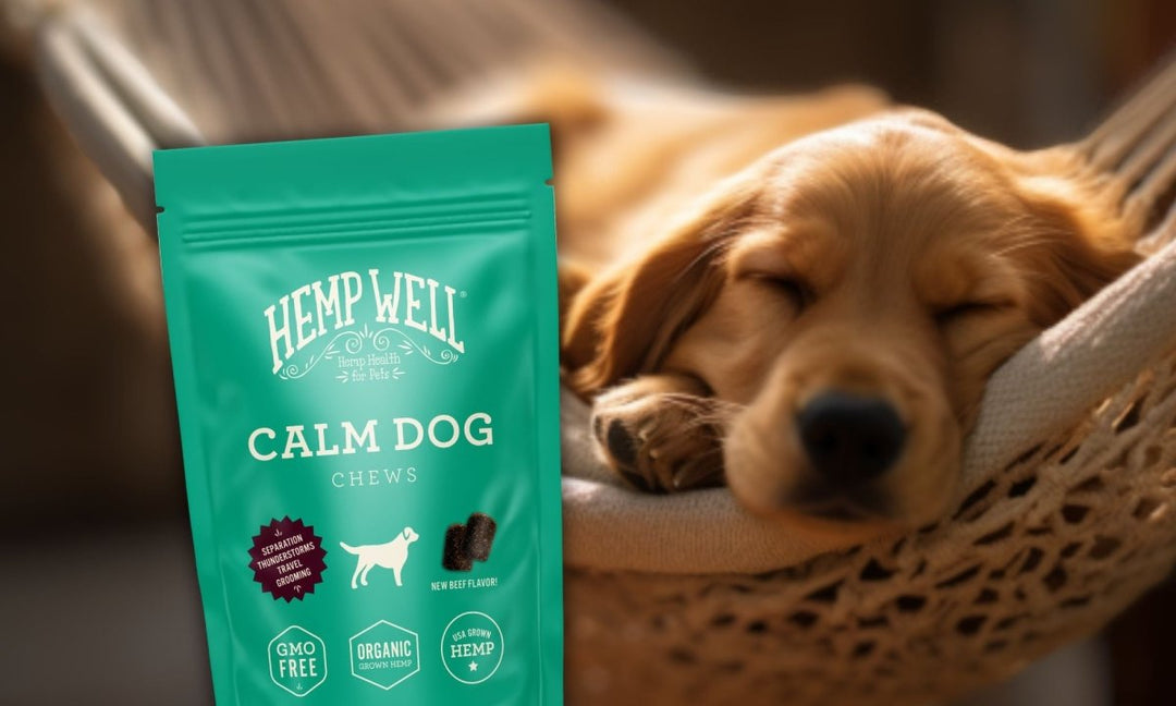 Calm and Balanced: Organic Hemp Supplements for Dogs