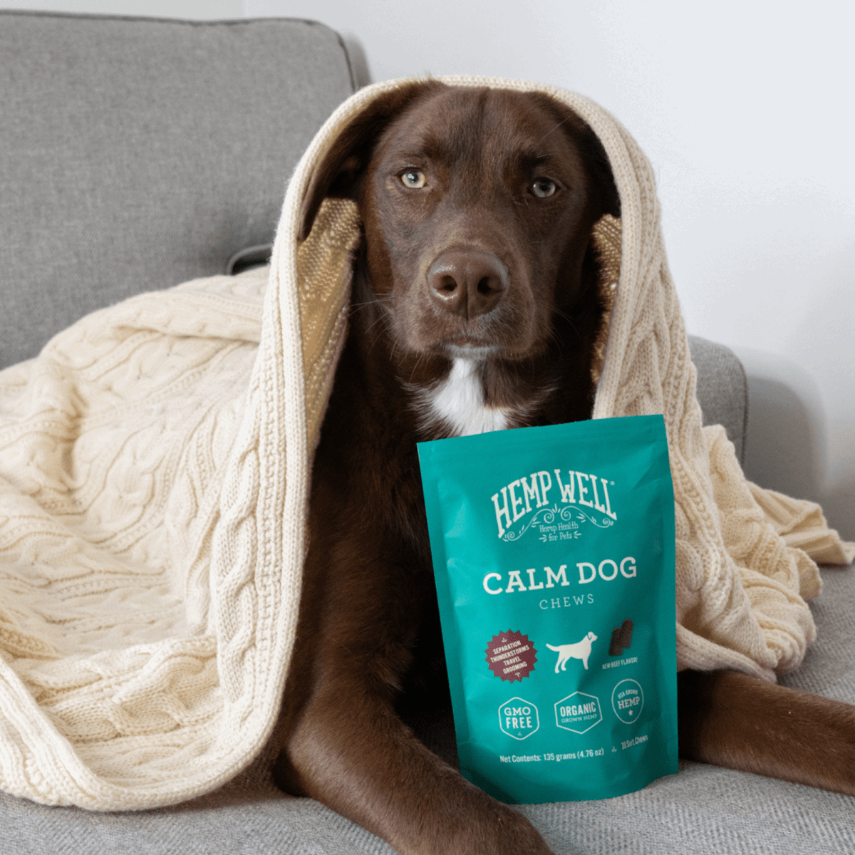 What Can I Give My Dog for Anxiety? Natural Options That May Help