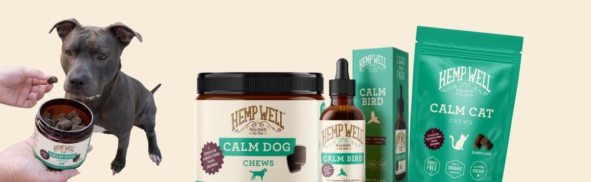 Calming Treats for Dogs Reviews - Hemp Well