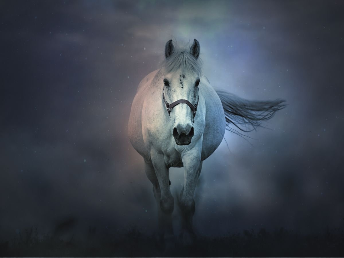 Can Hemp Well Benefit Horse Health? - Hemp Well