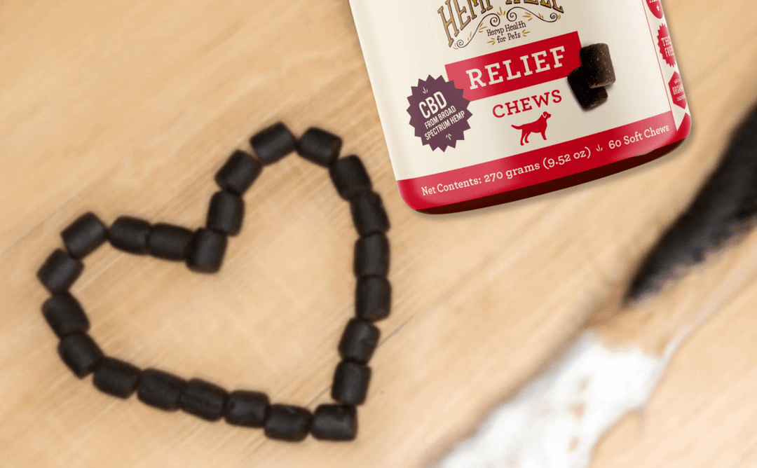 CBD Dog Treats for Joint Pain