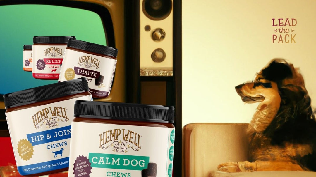 CBD dog treats near me: 6 wildly different places to score some