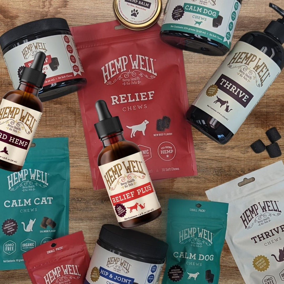 CBD Dog Treats Near Me