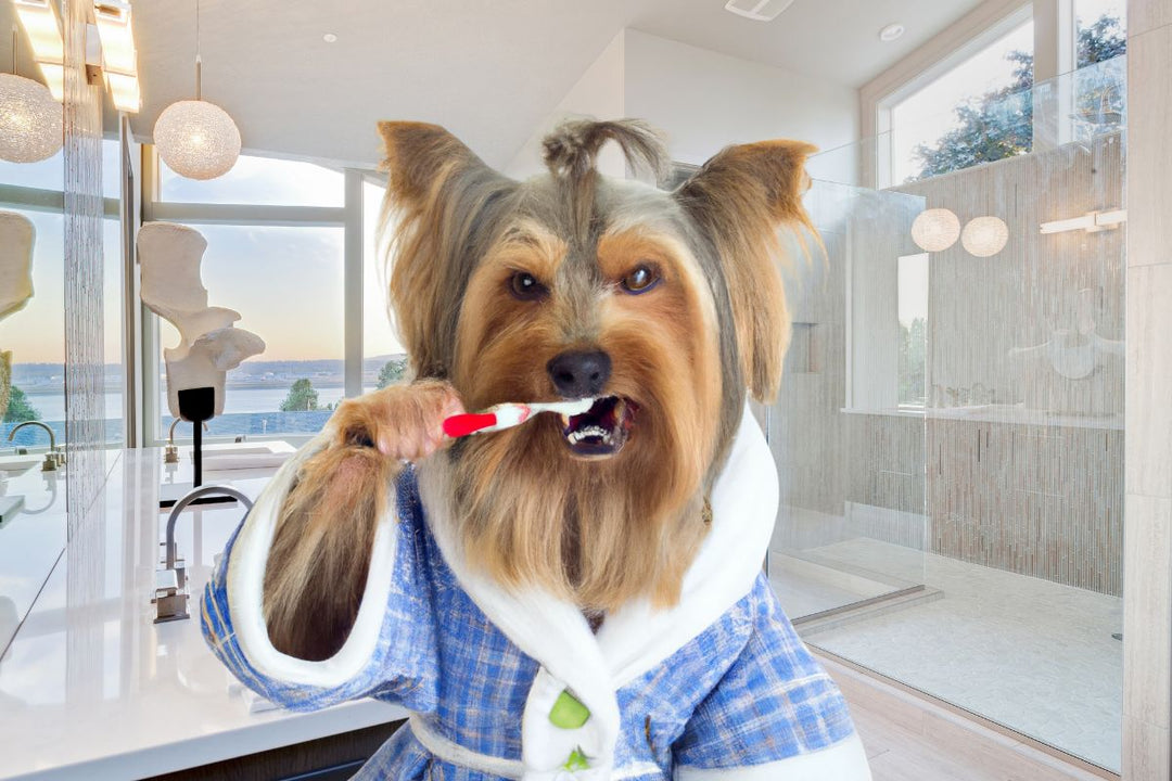 Clean Dog Teeth Without Ever Brushing