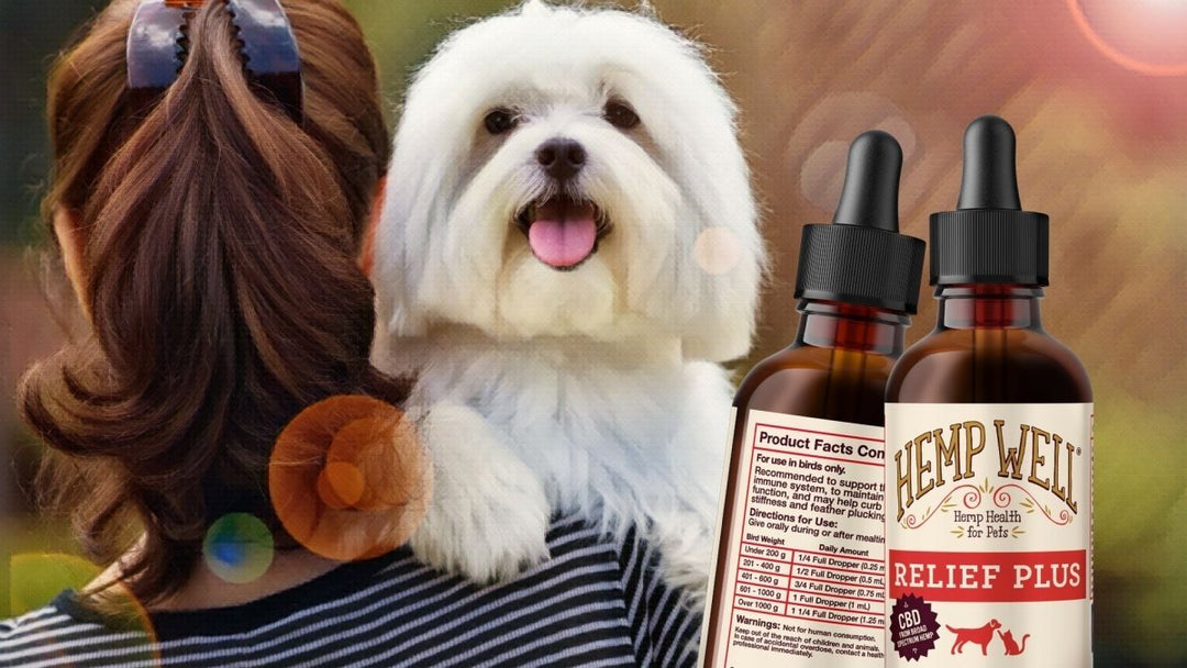 Does CBD Oil Expire? Understanding Shelf Life &amp; Quality