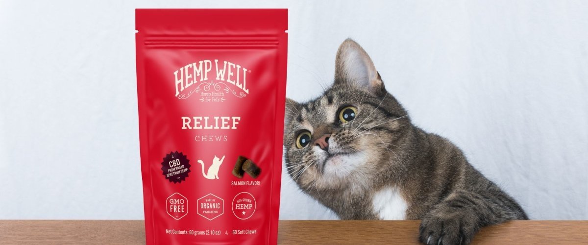 Feline-friendly ingredients: Unpacking the CBD products for your fur baby - Hemp Well