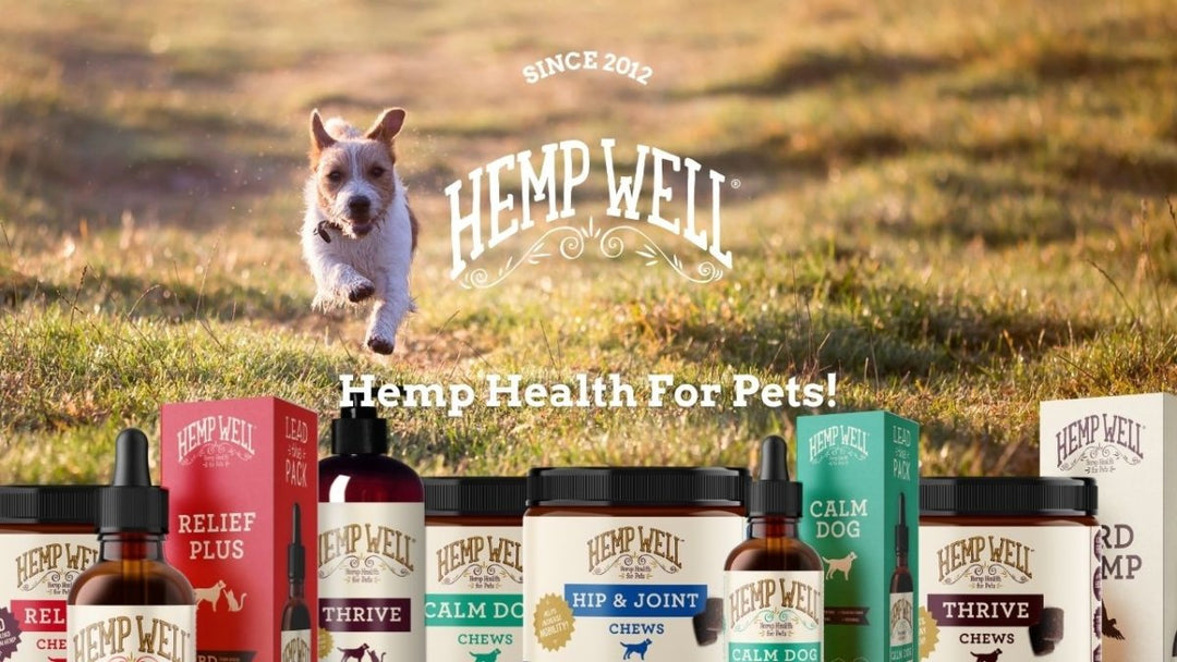 Health Benefits from Hemp’s Omegas and its Cannabinoids