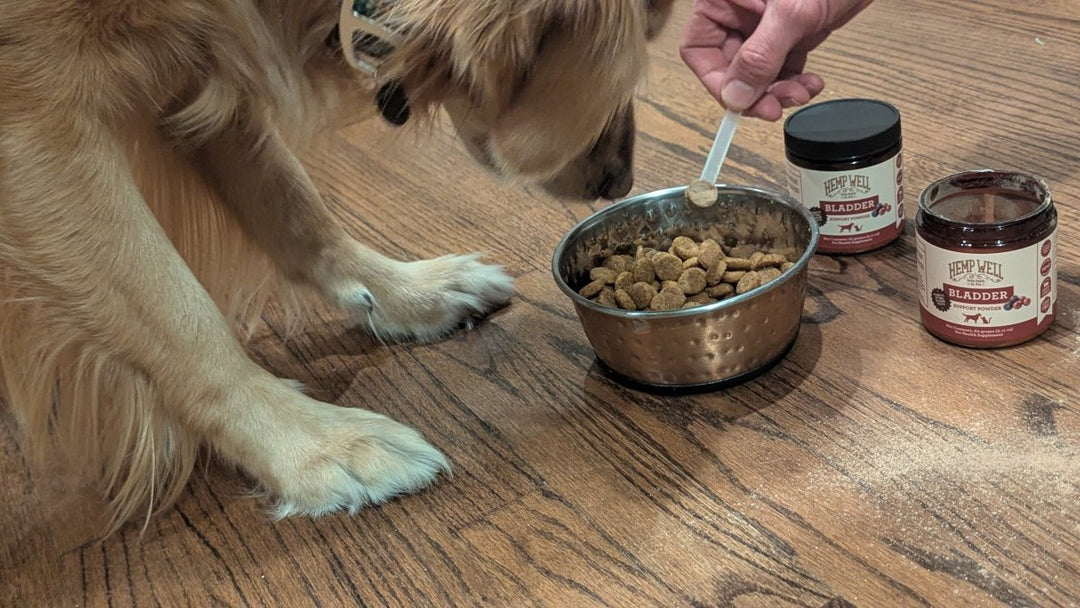 Hemp Well Bladder Support Powder for Dogs & Cats