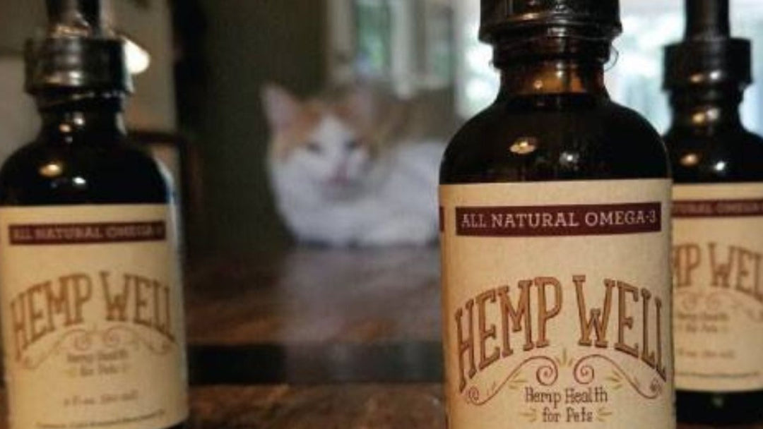 Hemp Well - How we became a family business