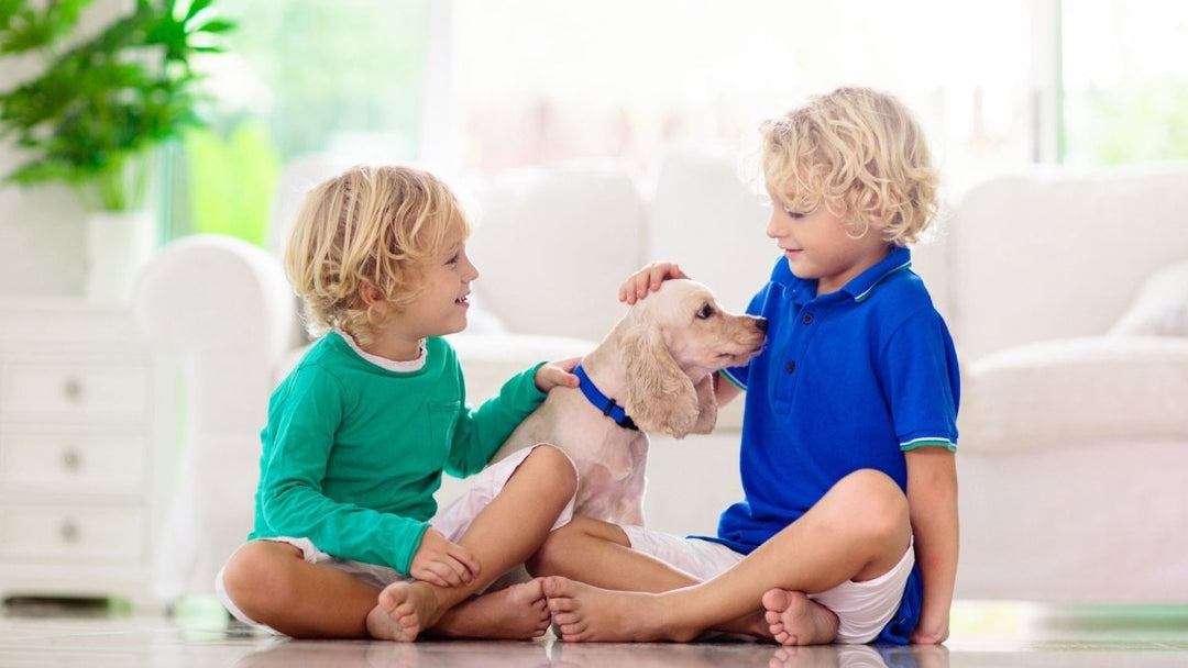 How Dogs Help Kids Develop Confidence and Health