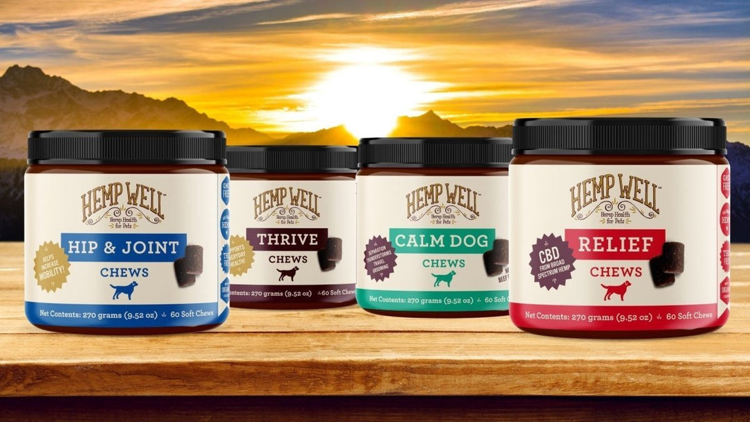 How Long Does It Take for CBD Dog Treats to Work?