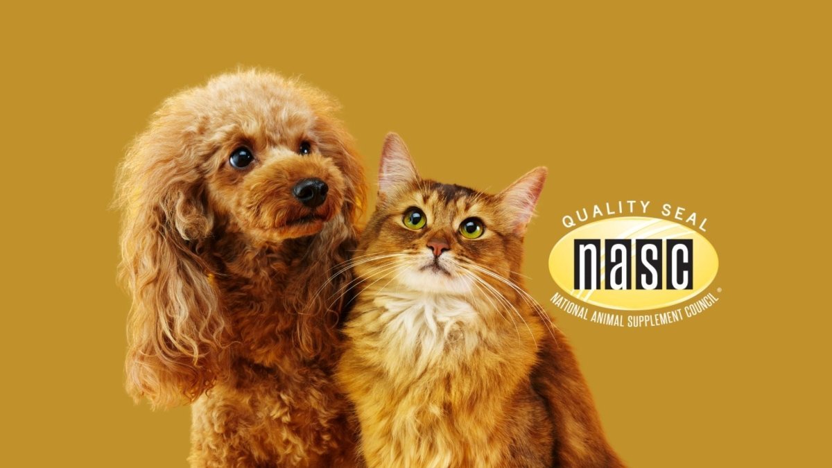 How the National Animal Supplement Council helps businesses like Hemp Well - Hemp Well