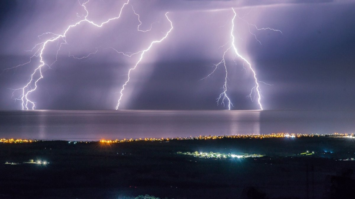 How to calm a dog down in a storm? - Hemp Well