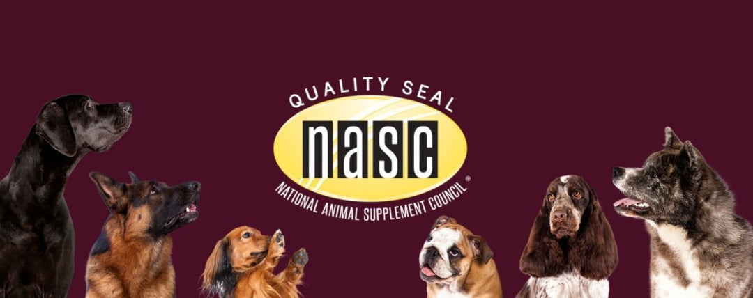 NASC Study Finds Cannabidiol Products Well-Tolerated in Healthy Dogs
