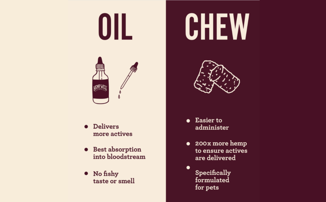 Oil vs. Soft Chews: Choosing the Right Pet Supplement