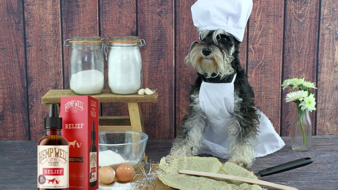 RECIPE: Peanut Butter and CBD Dog Treats