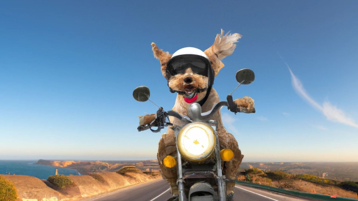 Side effects of CBD oil for dogs - Hemp Well