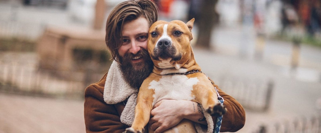Sorry Mom, Why Dog Dads Are Really the Favorite