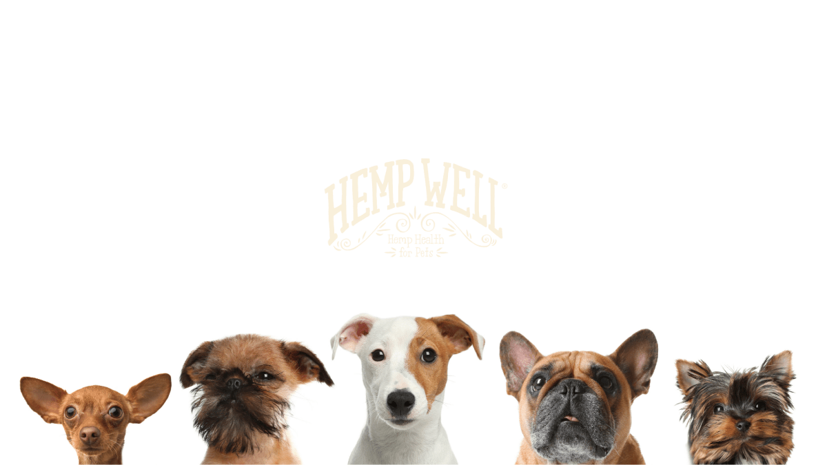 The Complete Guide to Dog Breeds