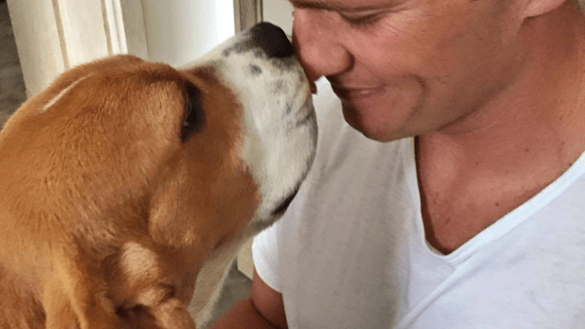 Top 10 Signs Your Dog May Have Allergies - Hemp Well