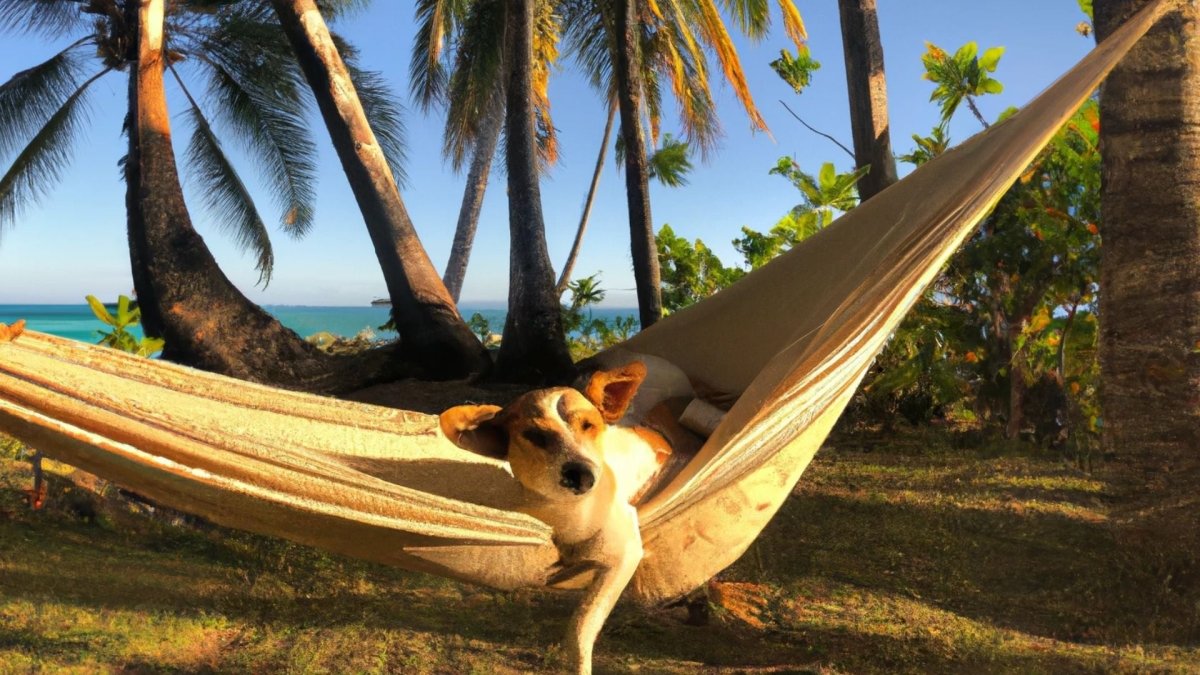 Top 7 Vacation Destinations For Dogs - Hemp Well