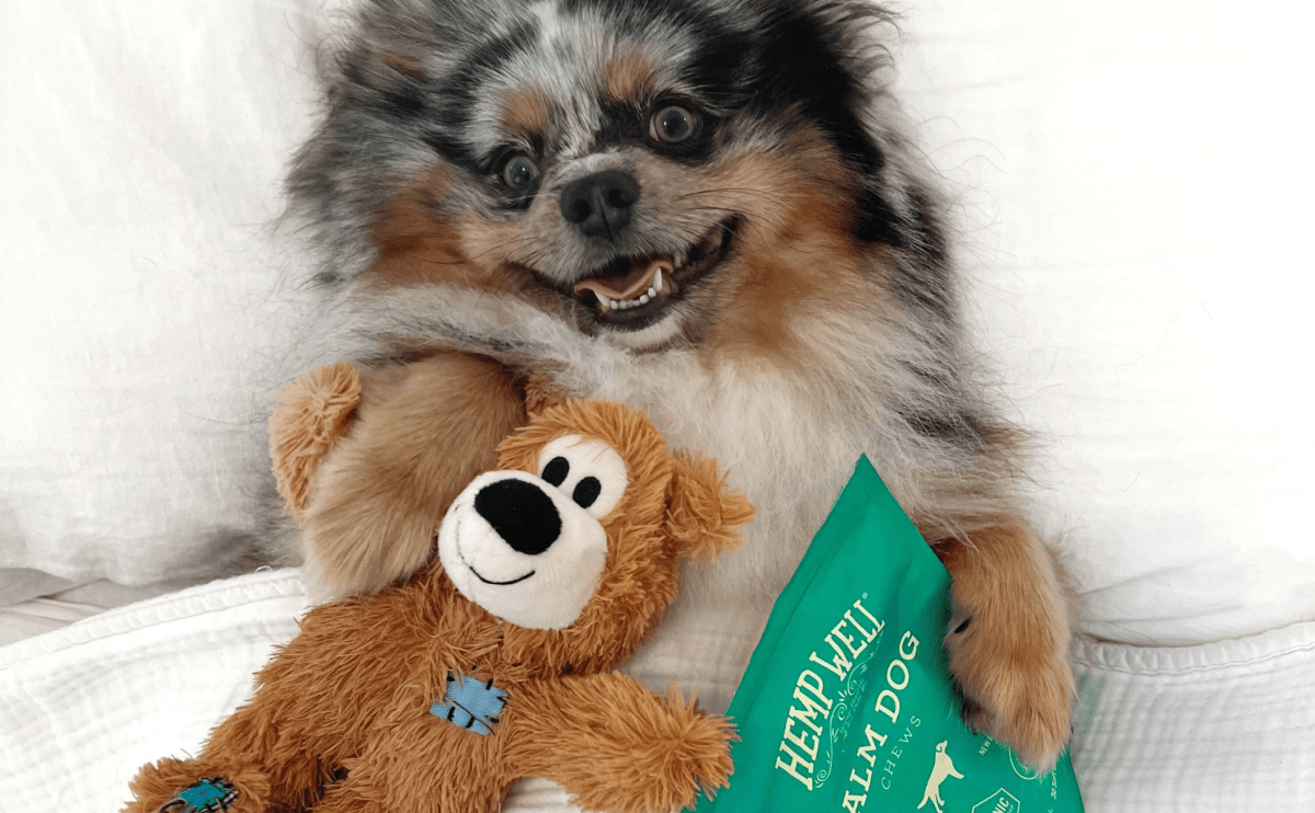Best calming treats for dog whining
