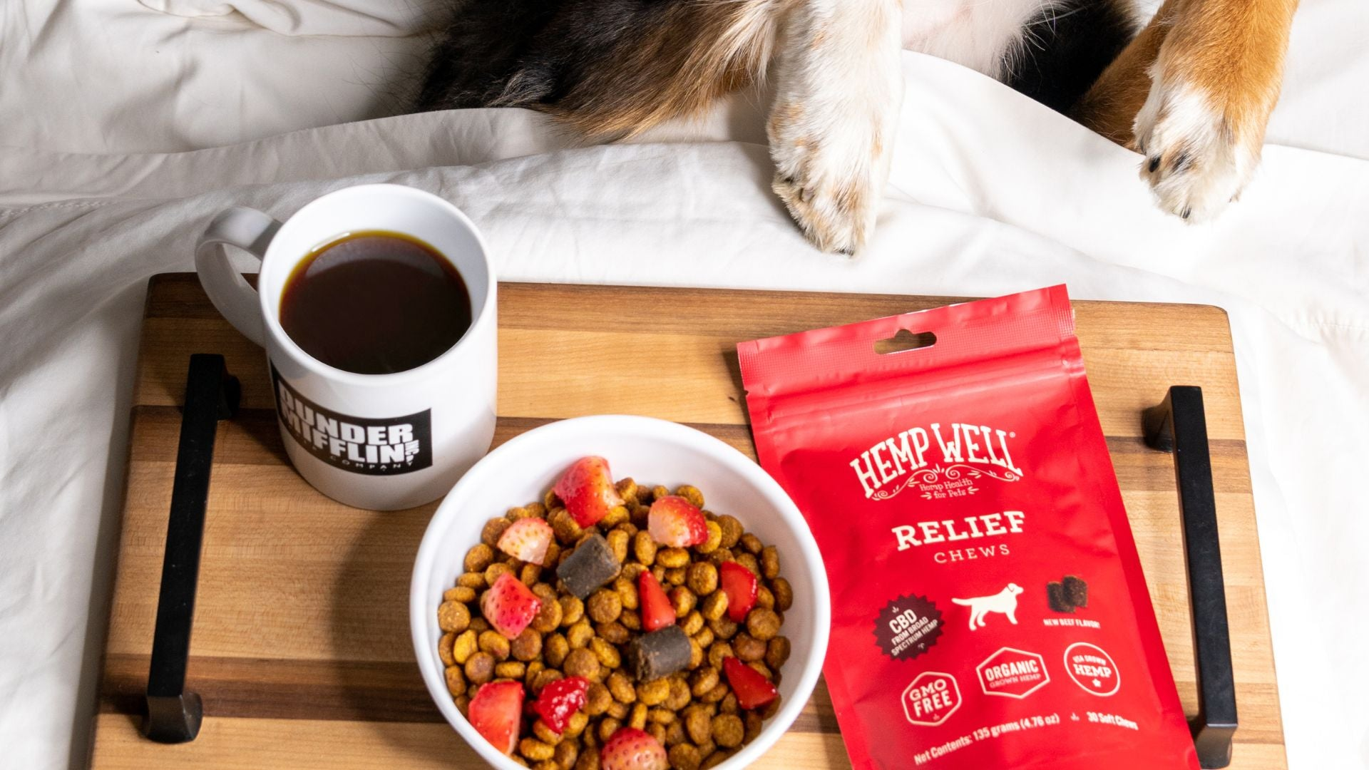 CBD for pets - Hemp Well