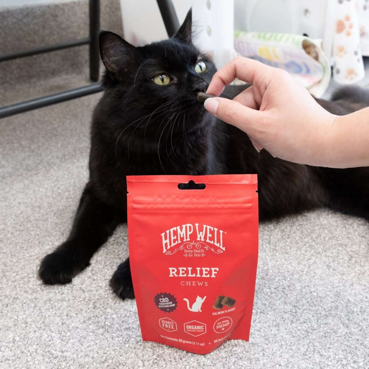 Best CBD for Cats
