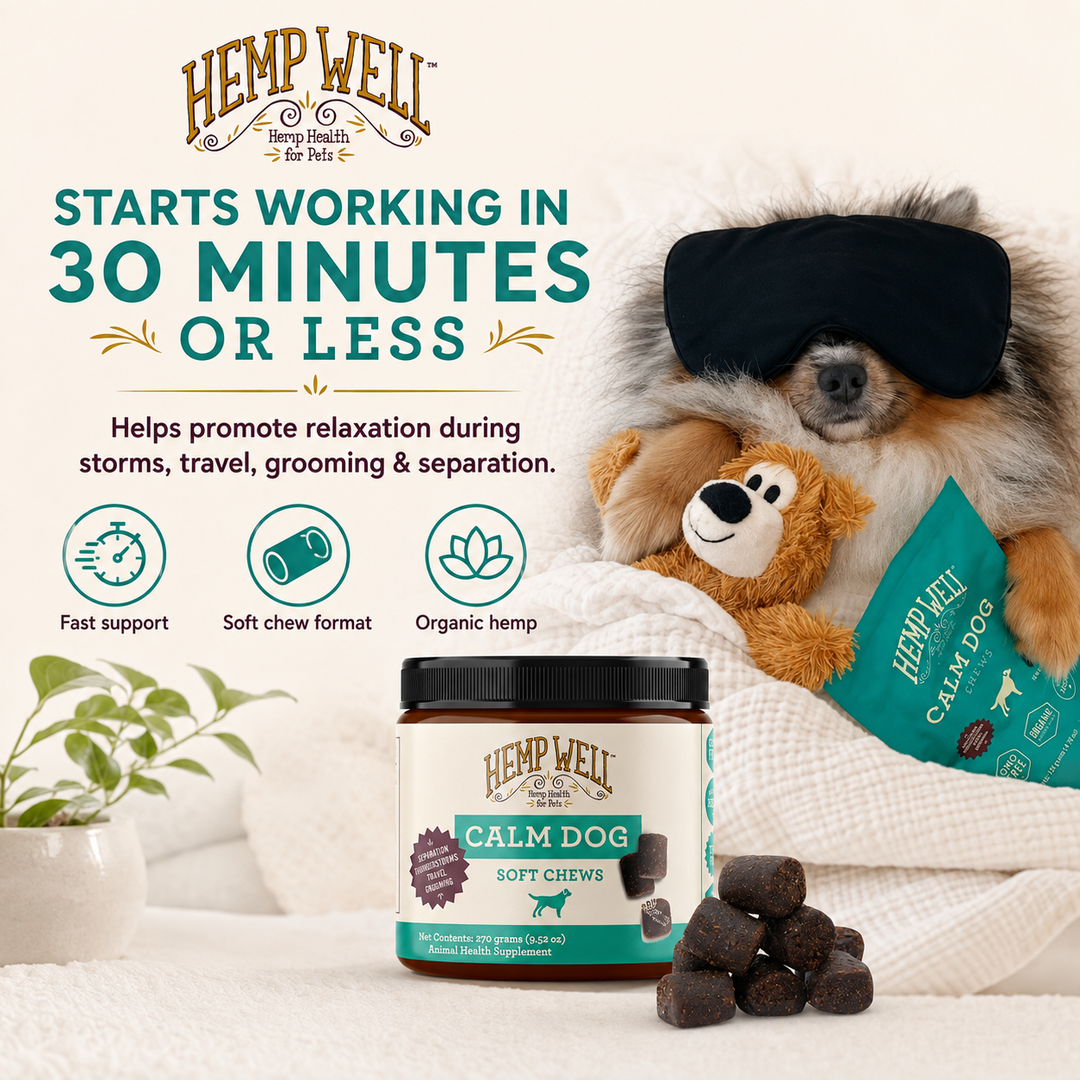 Calm Dog Soft Chews | Daily Calming Support