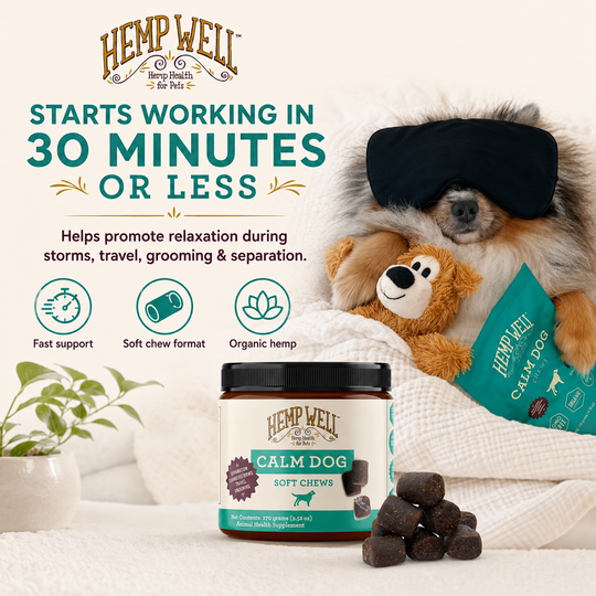 Calm Dog Soft Chews | Daily Calming Support