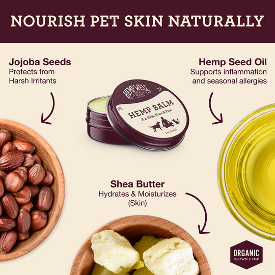 Hemp Balm - Organic, USA Grown Hemp - Hemp Well allergies balm cat tag4 organic over 1,000,000 pets love Hemp Well