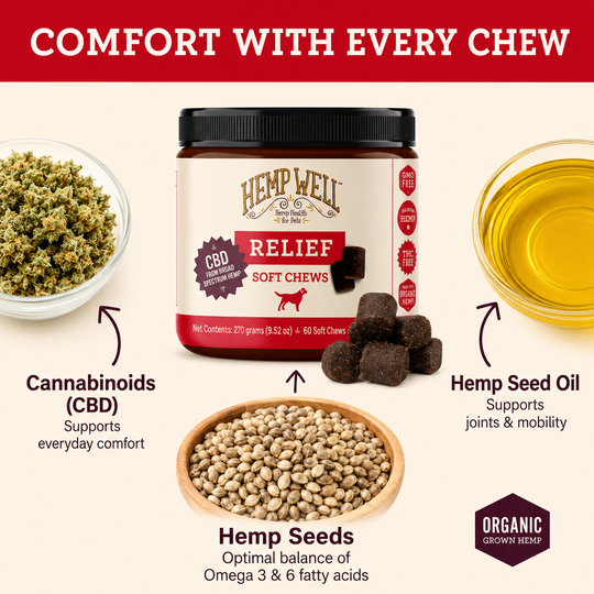 Hemp Well Relief: CBD Soft Chews for Dogs