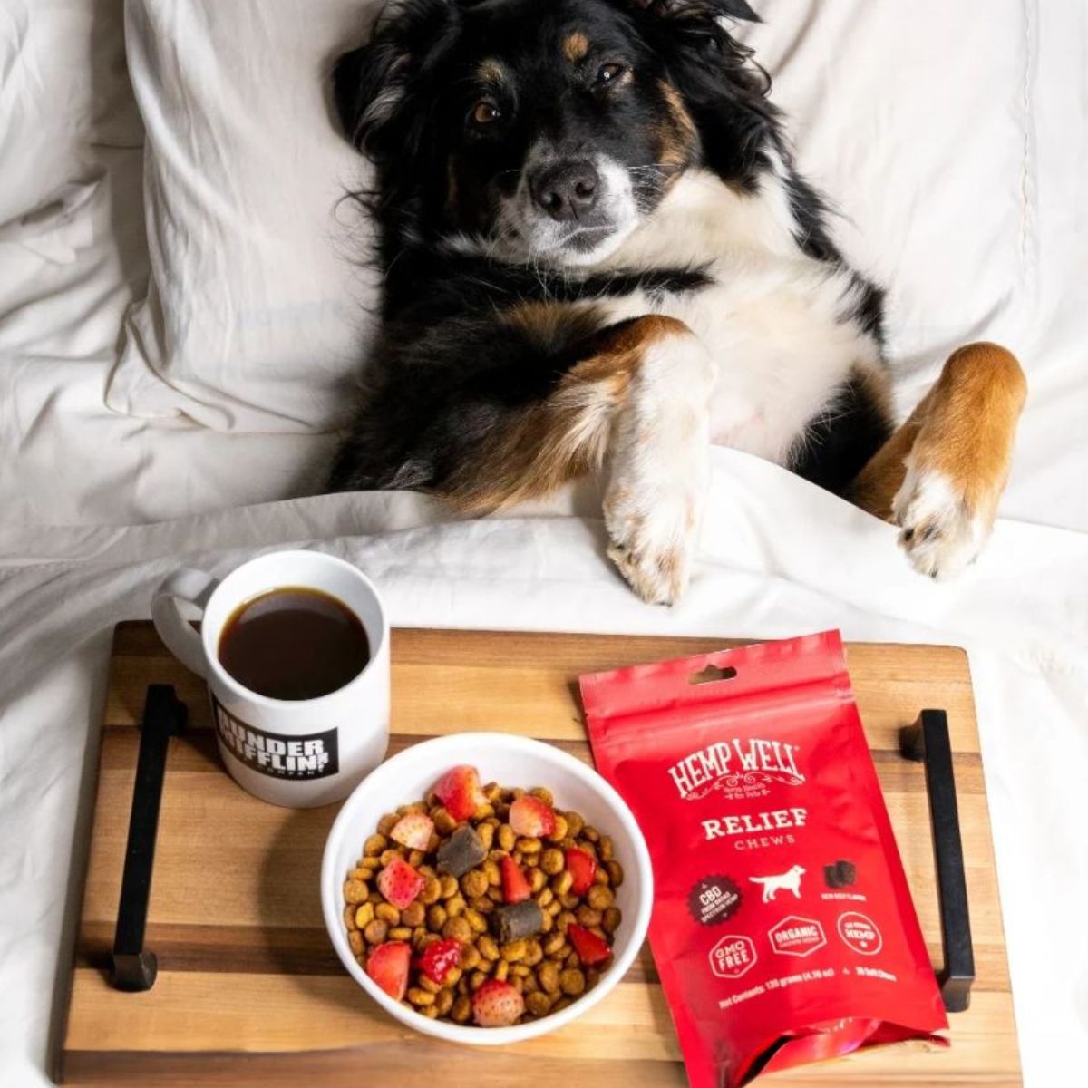 Morning Pet Supplements