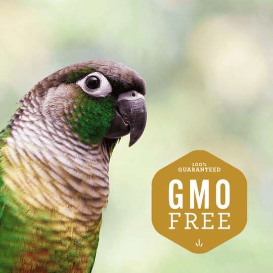 Bird Hemp Hearts - Organic, USA Grown - Hemp Well bird bird seed health tag4 organic over 1,000,000 pets love Hemp Well