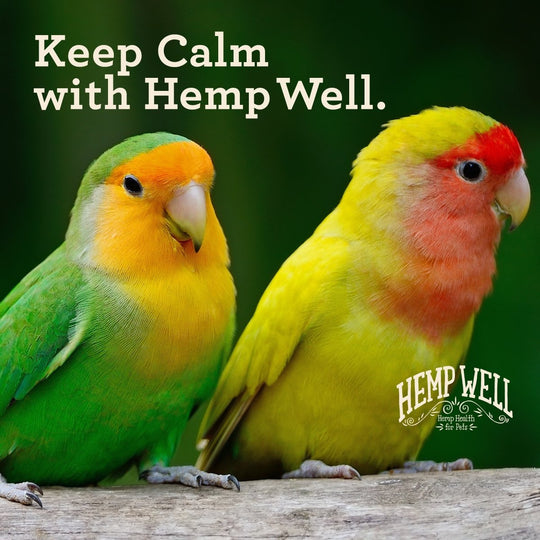 Calm Bird - Hemp Well behavior bird calm tag4 organic over 1,000,000 pets love Hemp Well