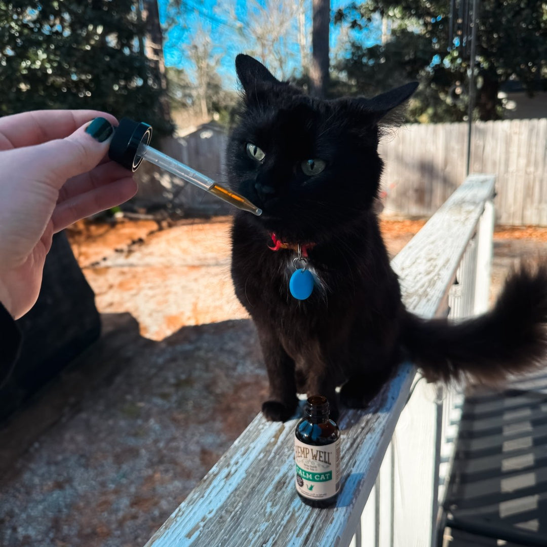 Calm Cat Oil - Organic, USA Grown - 2 oz - Hemp Well calm Calm Pet calming tag4 organic over 1,000,000 pets love Hemp Well