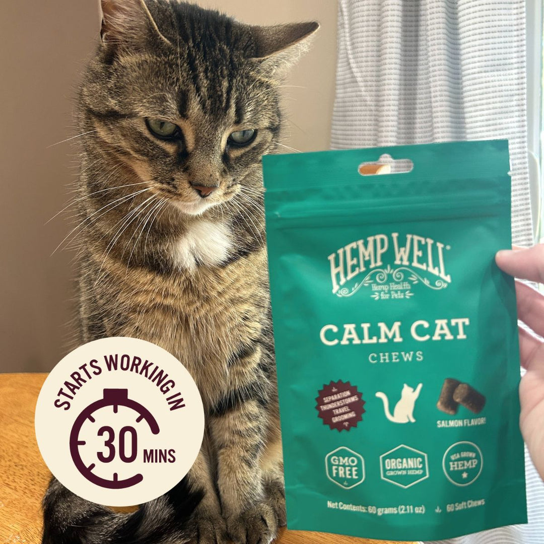 Calm Cat Soft Chews - Organic, USA Grown - Hemp Well calm Calm Pet calming tag4 organic over 1,000,000 pets love Hemp Well