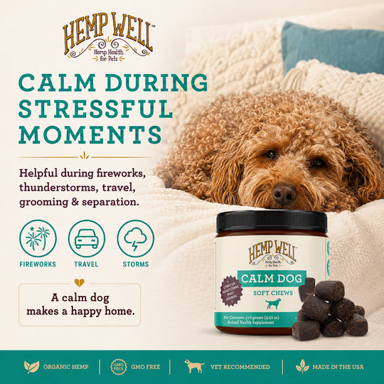 Calm Dog Soft Chews | Daily Calming Support